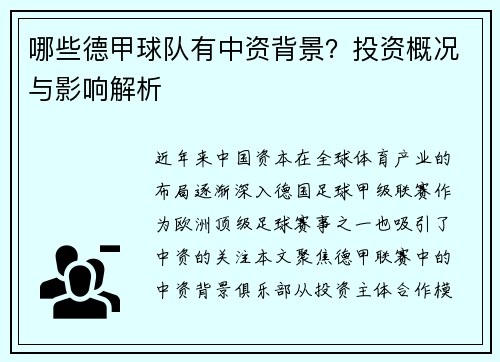哪些德甲球队有中资背景？投资概况与影响解析