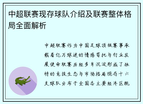 中超联赛现存球队介绍及联赛整体格局全面解析